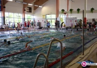 Mistrzostwa na limanowskiej pływalni - zdjęcie główne