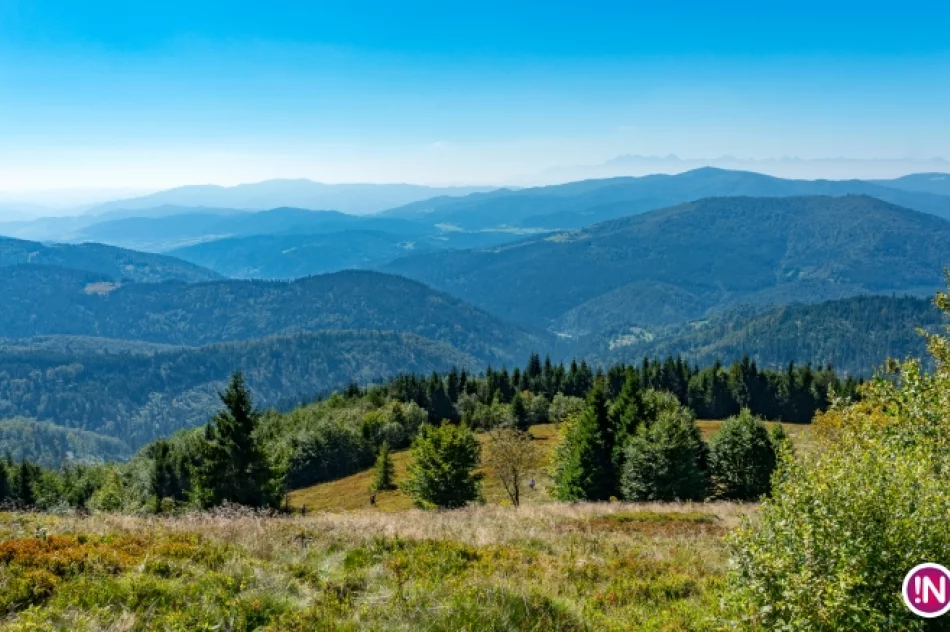 Złaz na Mogielicy 2016 - zdjęcie 3