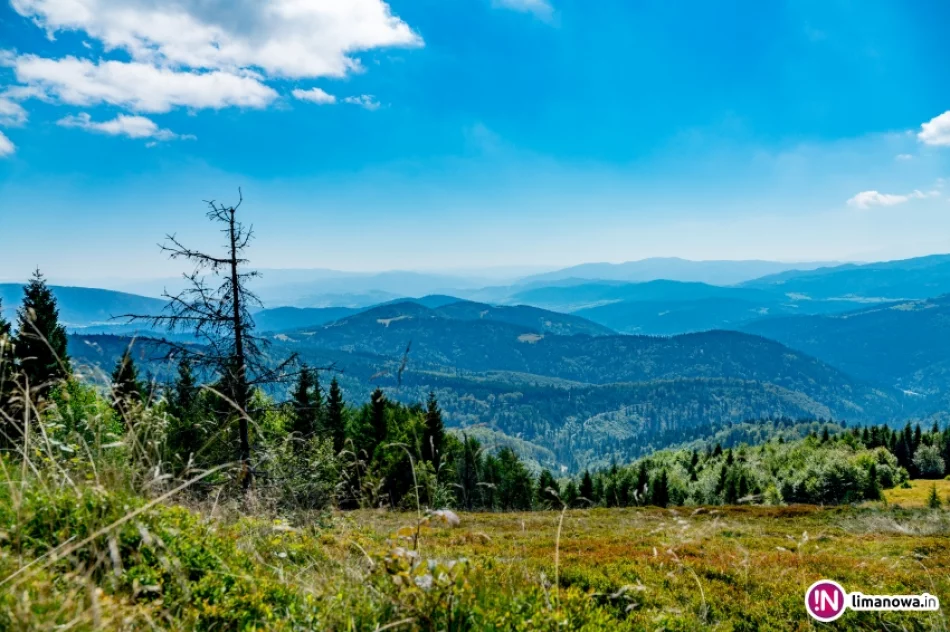 Złaz na Mogielicy 2016 - zdjęcie 6