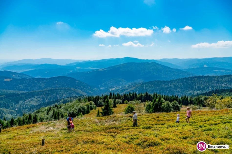 Złaz na Mogielicy 2016 - zdjęcie 12