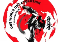 Już w najbliższą sobotę w Limanowej wielkie święto Karate Kyokushin - zdjęcie główne