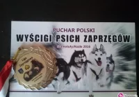 Z Limanowej na zawody psich zaprzęgów do Szamotuł - zdjęcie główne