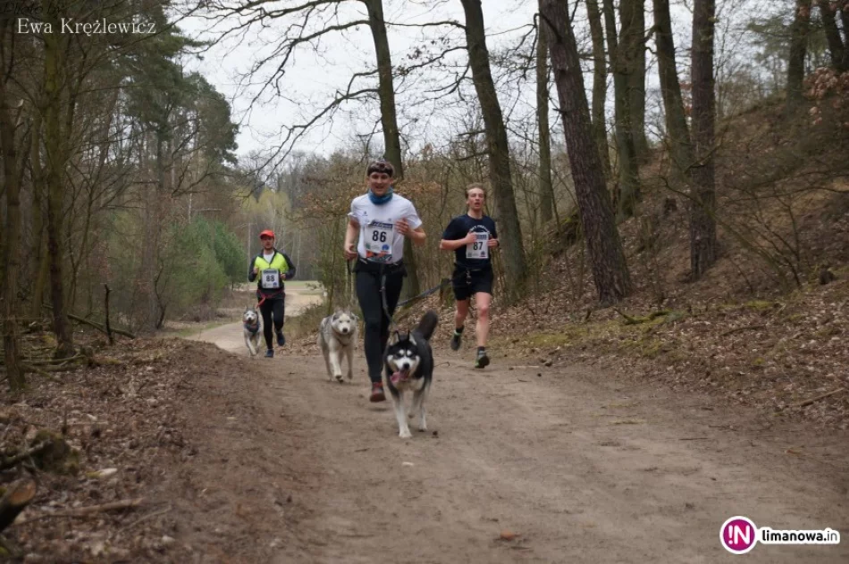 Z Limanowej na zawody psich zaprzęgów do Szamotuł - zdjęcie 3