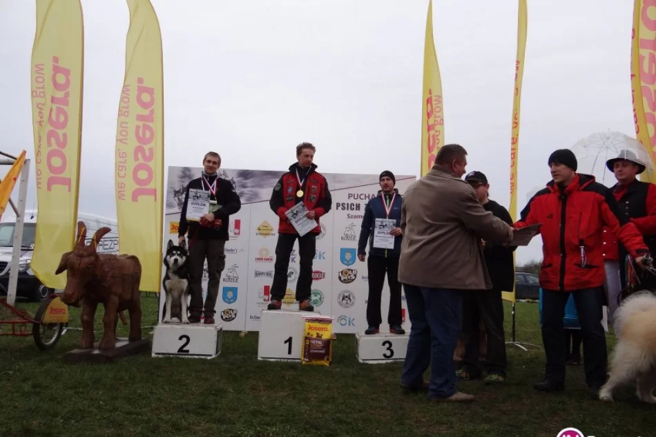 Z Limanowej na zawody psich zaprzęgów do Szamotuł - zdjęcie 4