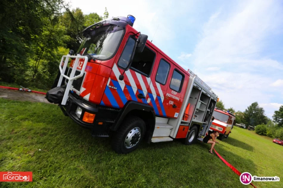 Festyn rodzinny w Przyszowej - zdjęcie 4