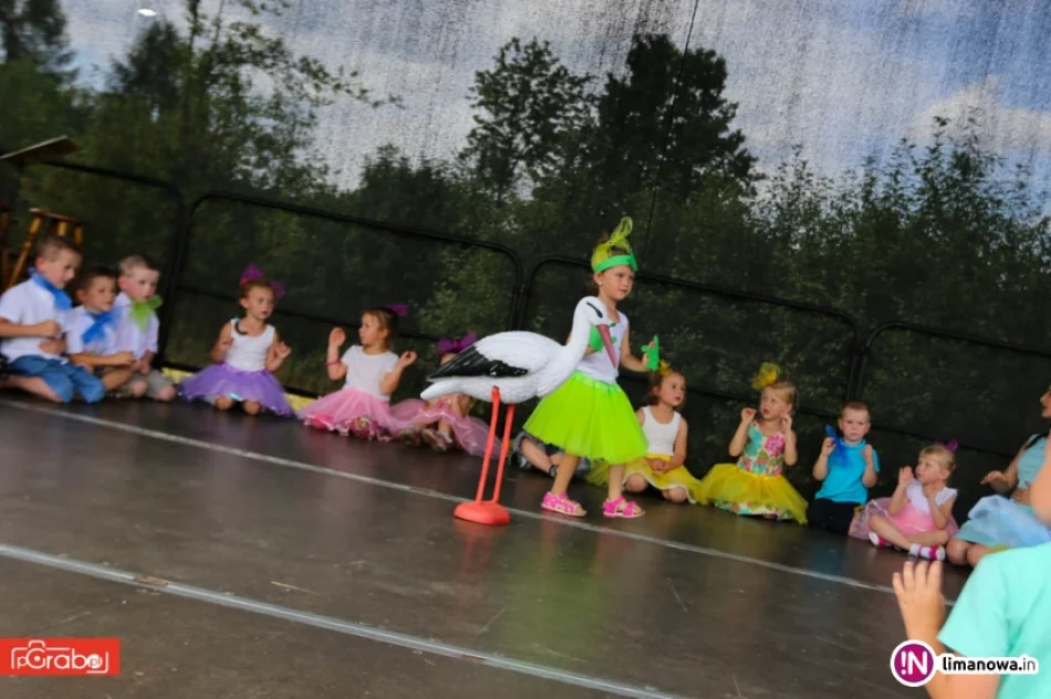 Festyn rodzinny w Przyszowej - zdjęcie 14