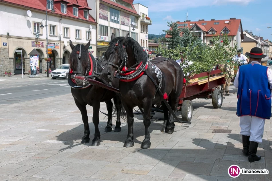 II Jarmark Historyczny św. Marii Magdaleny - zdjęcie 5