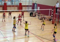 Kryniczanki najlepsze w mini siatkówce - zdjęcie główne