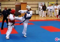 Medalowy występ karateków w Nowym Sączu - zdjęcie główne