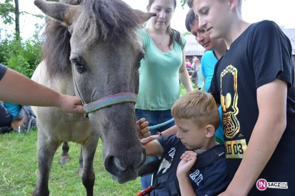 Zabrali 150 niepełnosprawnych na pielgrzymkę do Ludźmierza - zdjęcie 9