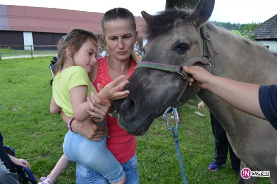 Zabrali 150 niepełnosprawnych na pielgrzymkę do Ludźmierza - zdjęcie 14
