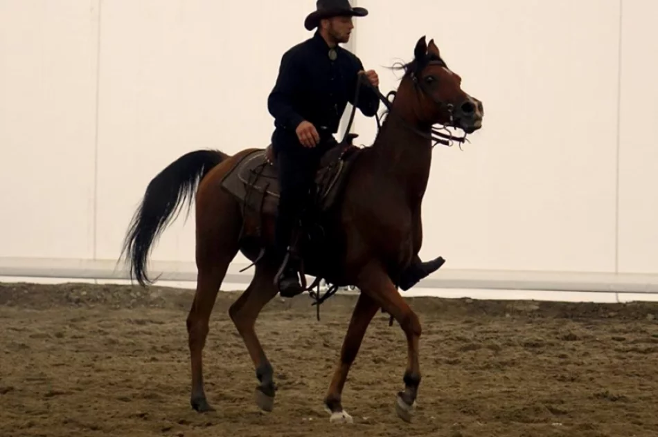 Stadnina koni, mini zoo: Nawojowa ma Końską Wioskę Tematyczną - zdjęcie 4