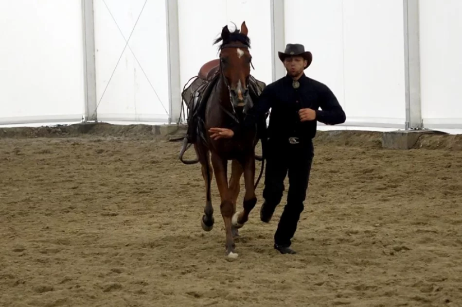 Stadnina koni, mini zoo: Nawojowa ma Końską Wioskę Tematyczną - zdjęcie 6