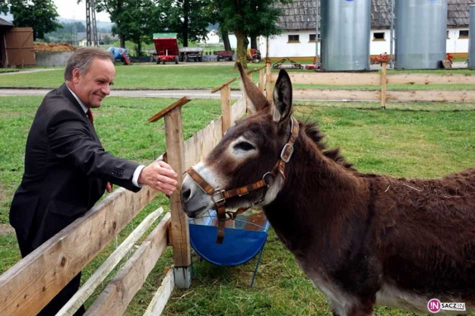 Stadnina koni, mini zoo: Nawojowa ma Końską Wioskę Tematyczną - zdjęcie 7