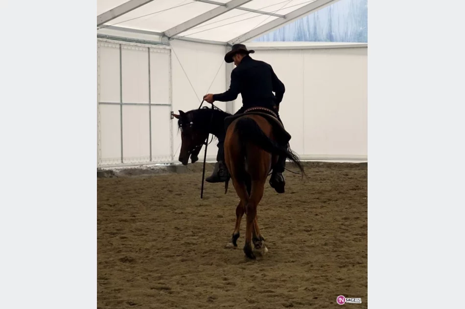 Stadnina koni, mini zoo: Nawojowa ma Końską Wioskę Tematyczną - zdjęcie 9