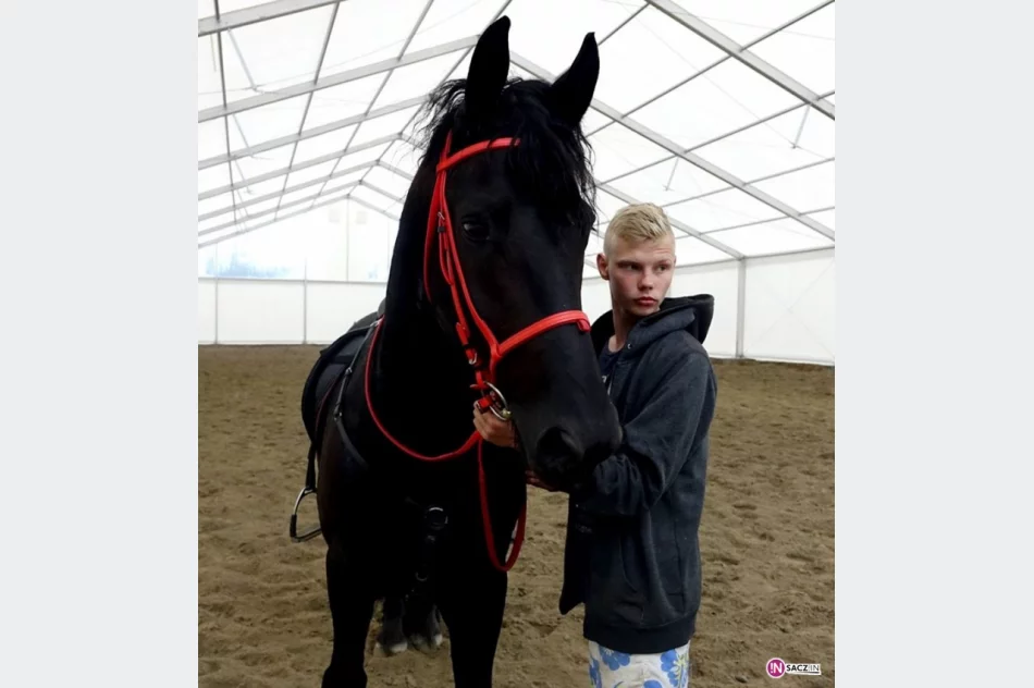 Stadnina koni, mini zoo: Nawojowa ma Końską Wioskę Tematyczną - zdjęcie 10