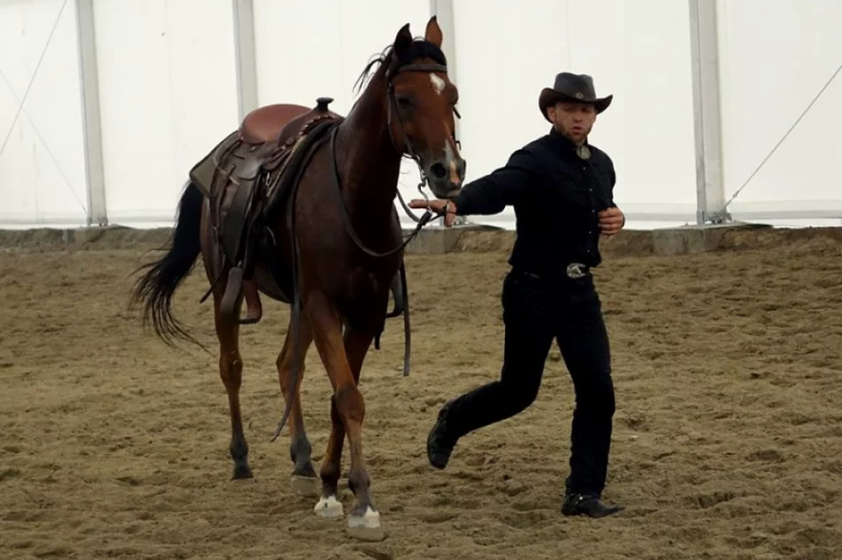 Stadnina koni, mini zoo: Nawojowa ma Końską Wioskę Tematyczną - zdjęcie 11