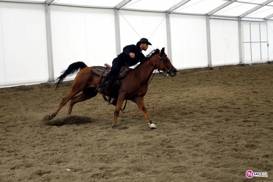 Stadnina koni, mini zoo: Nawojowa ma Końską Wioskę Tematyczną - zdjęcie 13