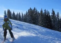 Krynica Zdrój: Puchar Tauronka - zdjęcie główne