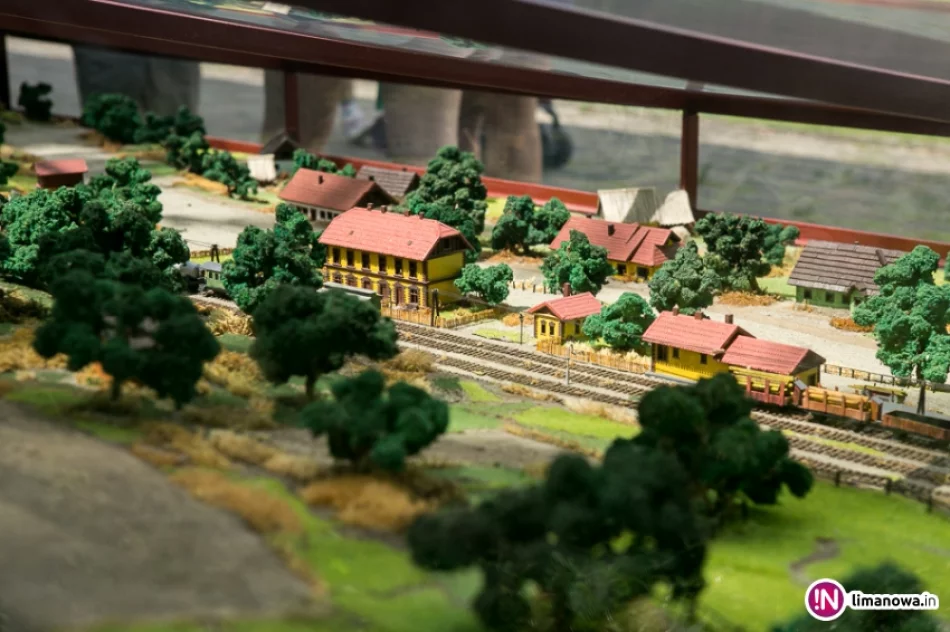 Galicyjski Piknik Kolejowy 2016 - zdjęcie 8