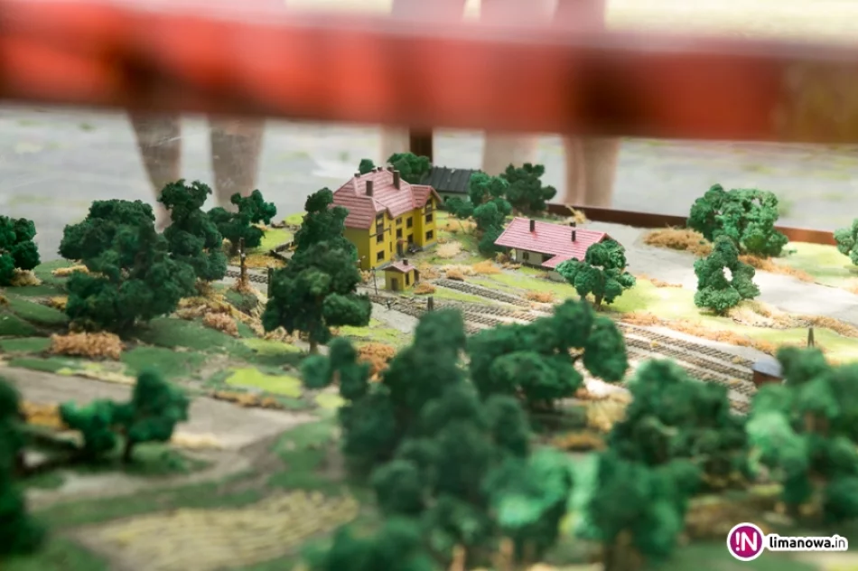 Galicyjski Piknik Kolejowy 2016 - zdjęcie 9