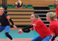 Muszynianka w kratkę - zdjęcie główne