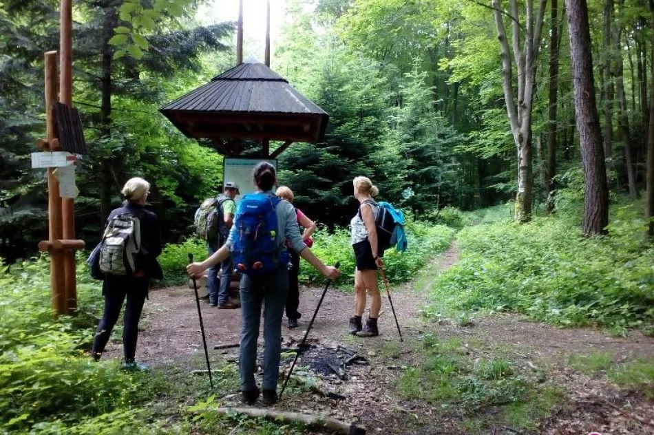 Koło Przewodników i Koło Grodzkie PTTK razem w Beskidzie Niskim - zdjęcie 11