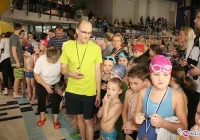 Rekordowa liczba uczestników na Mikołajkowych Zawodach Pływackich 2015 - zdjęcie główne