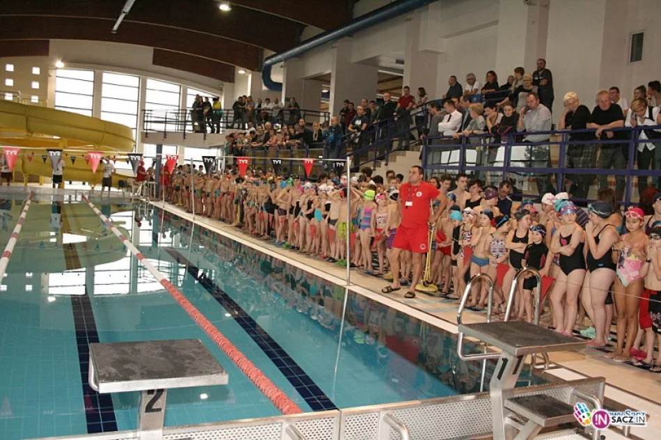 Rekordowa liczba uczestników na Mikołajkowych Zawodach Pływackich 2015 - zdjęcie 3
