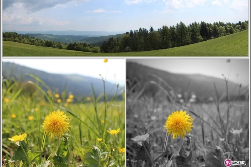 PTTK na polsko-słowackich szlakach - zdjęcie 7