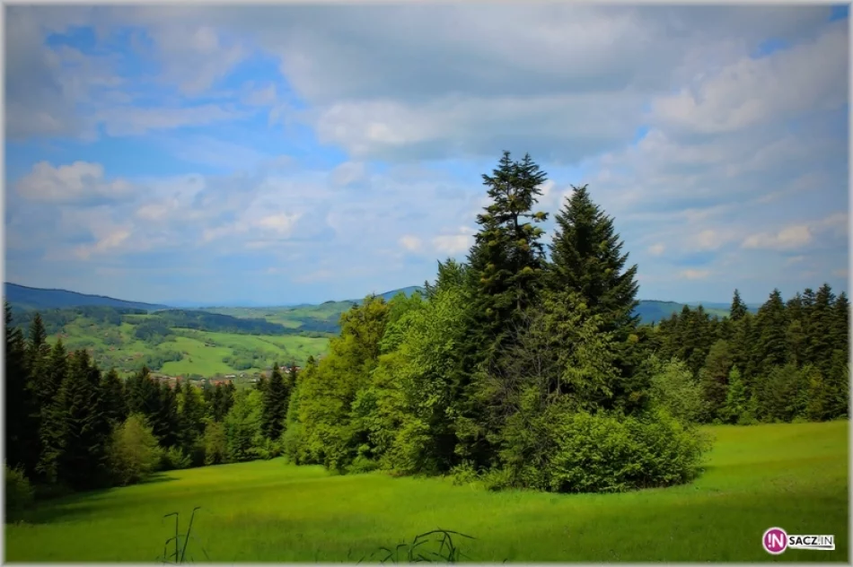 Jajecznica z tysiąca jaj! PTTK w Zamku Stara Baśń - zdjęcie 2