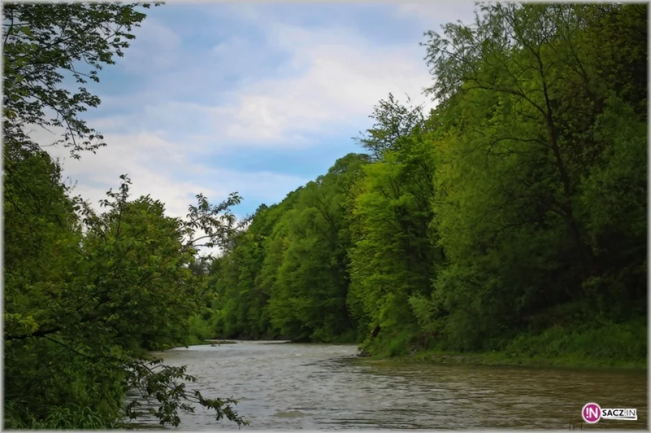 Jajecznica z tysiąca jaj! PTTK w Zamku Stara Baśń - zdjęcie 6