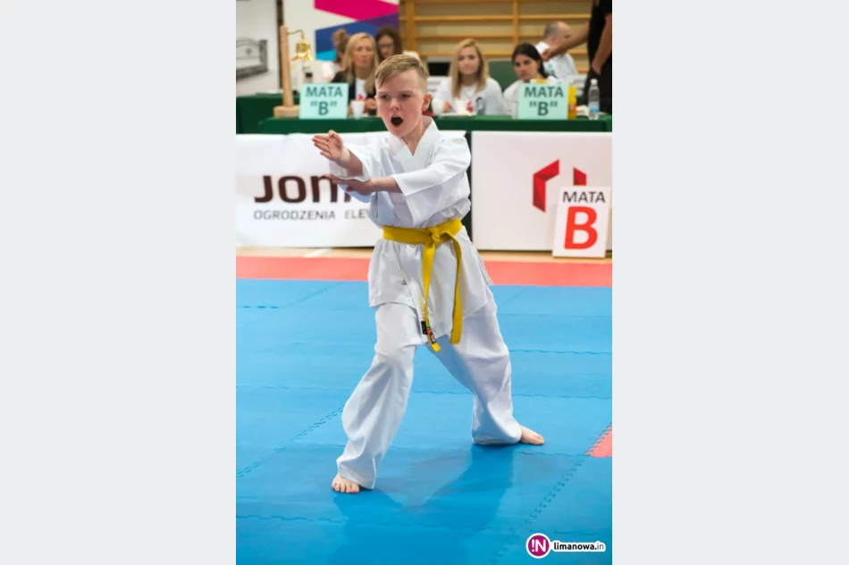 "ONE WORLD ONE KYOKUSHIN" – Limanowa  2016 - zdjęcie 14