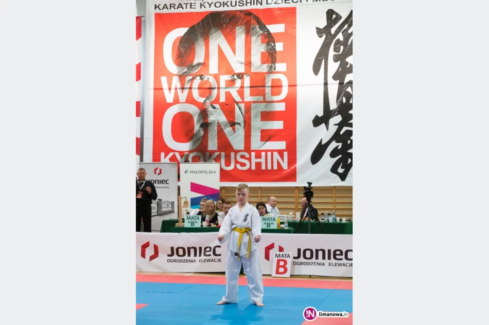 "ONE WORLD ONE KYOKUSHIN" – Limanowa  2016 - zdjęcie 17