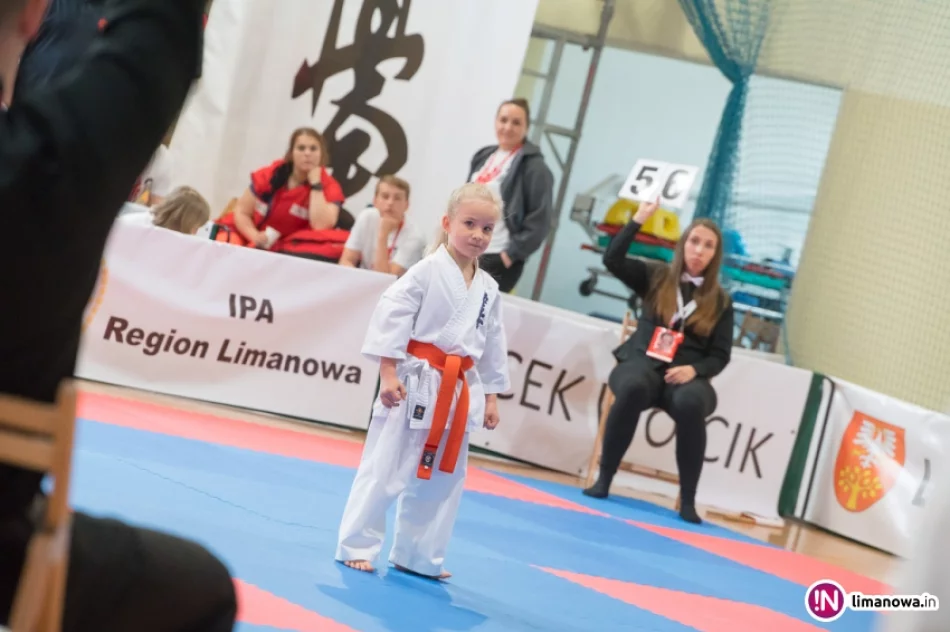 "ONE WORLD ONE KYOKUSHIN" – Limanowa  2016 - zdjęcie 19