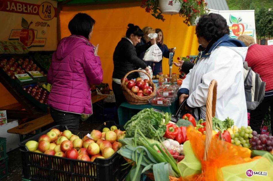 W Łącku zakwitły jabłonie - zdjęcie 9