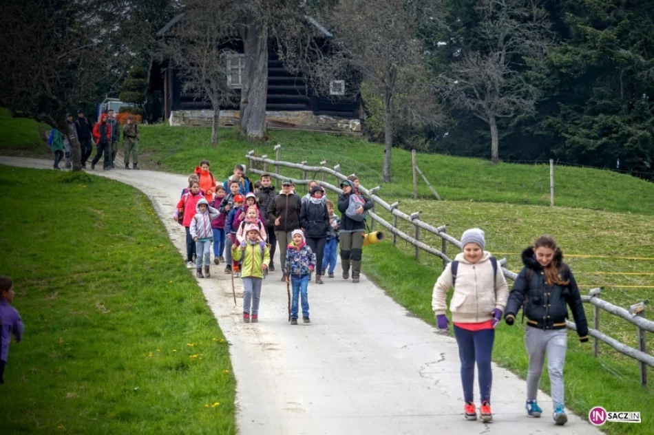 Dzięki harcerzom biało - czerwona znów na 1266 m. n.p.m. - zdjęcie 11