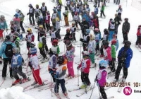 Nabór do sekcji narciarstwa alpejskiego - zdjęcie główne