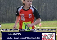 Każdy może wystartować w Biegu Niepodległości - zdjęcie główne