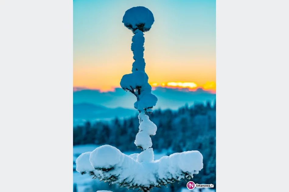 Piękna zima tej wiosny - zdjęcie 4