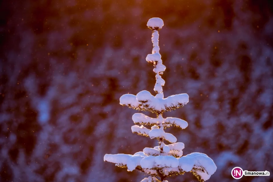 Piękna zima tej wiosny - zdjęcie 17