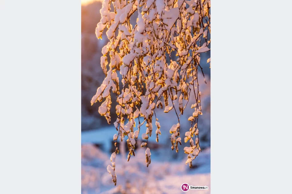 Piękna zima tej wiosny - zdjęcie 19