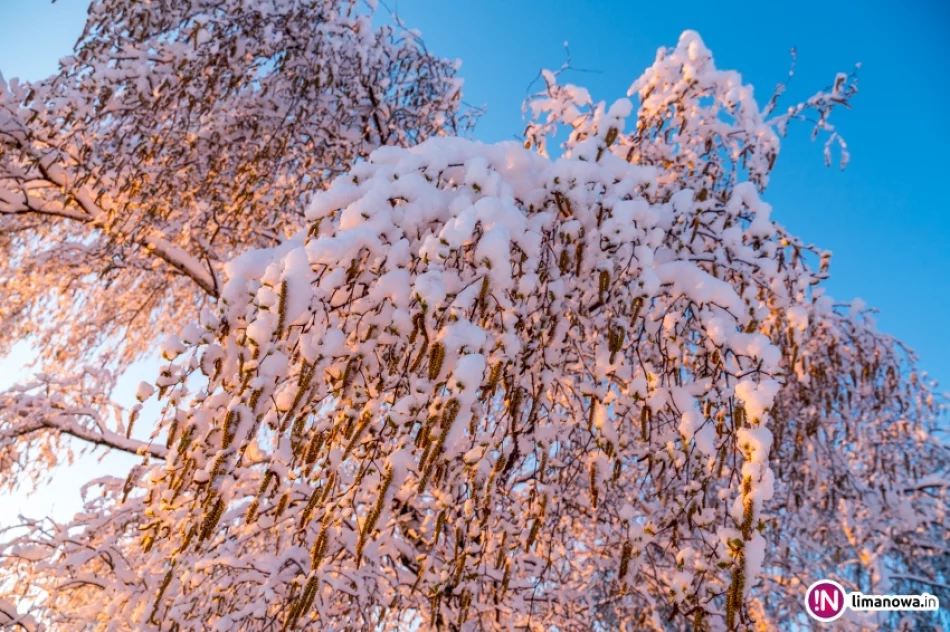 Piękna zima tej wiosny - zdjęcie 20