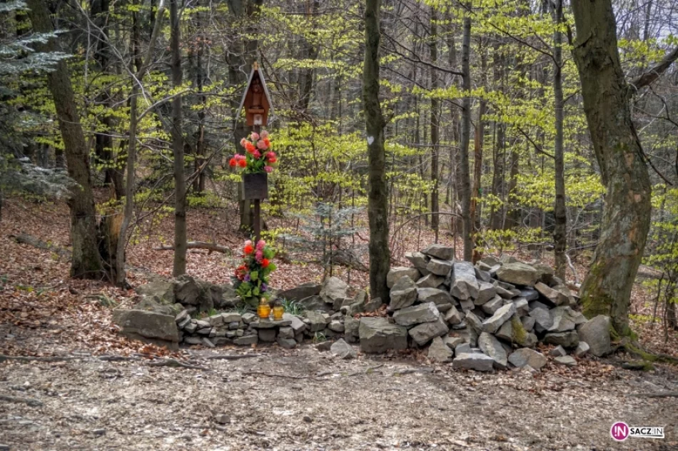 520 stóp w ślad za Janem Pawłem II - zdjęcie 4