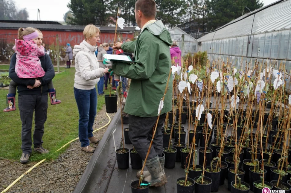 Zdrowo i ekologicznie w Brzeznej - zdjęcie 9