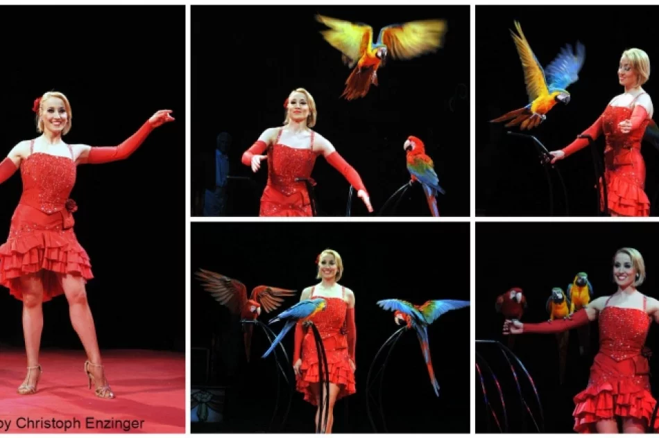 Cyrk Medrano w Nowym Sączu! - zdjęcie 2