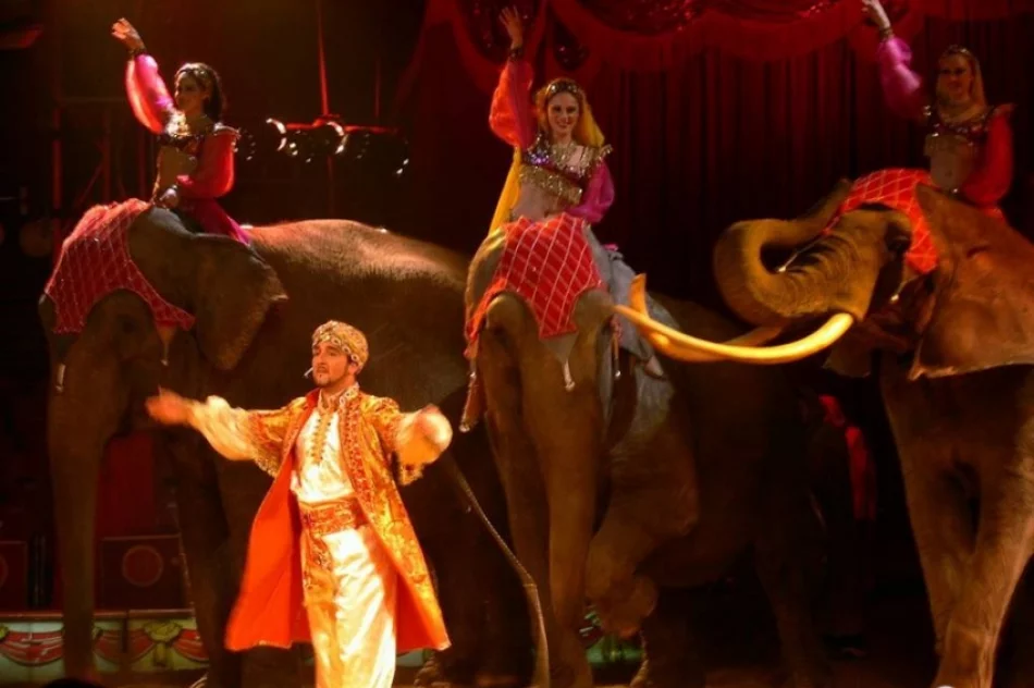 Cyrk Medrano w Nowym Sączu! - zdjęcie 5