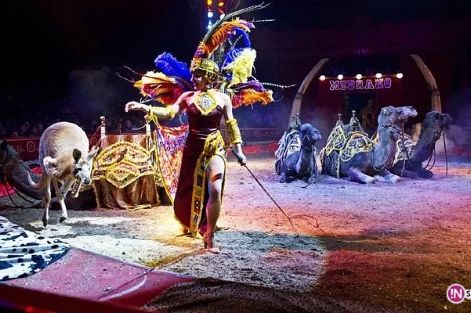 Cyrk Medrano w Nowym Sączu! - zdjęcie 11