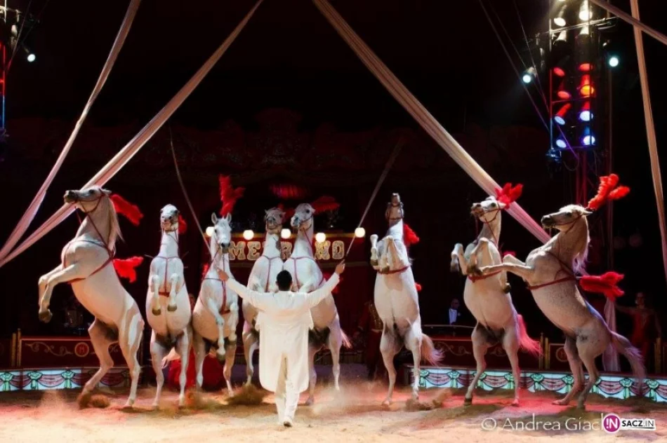 Cyrk Medrano w Nowym Sączu! - zdjęcie 14