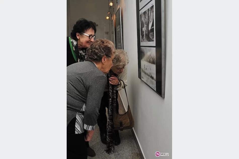 "Małe Ojczyzny" w Domu Polsko-Słowackim - zdjęcie 4